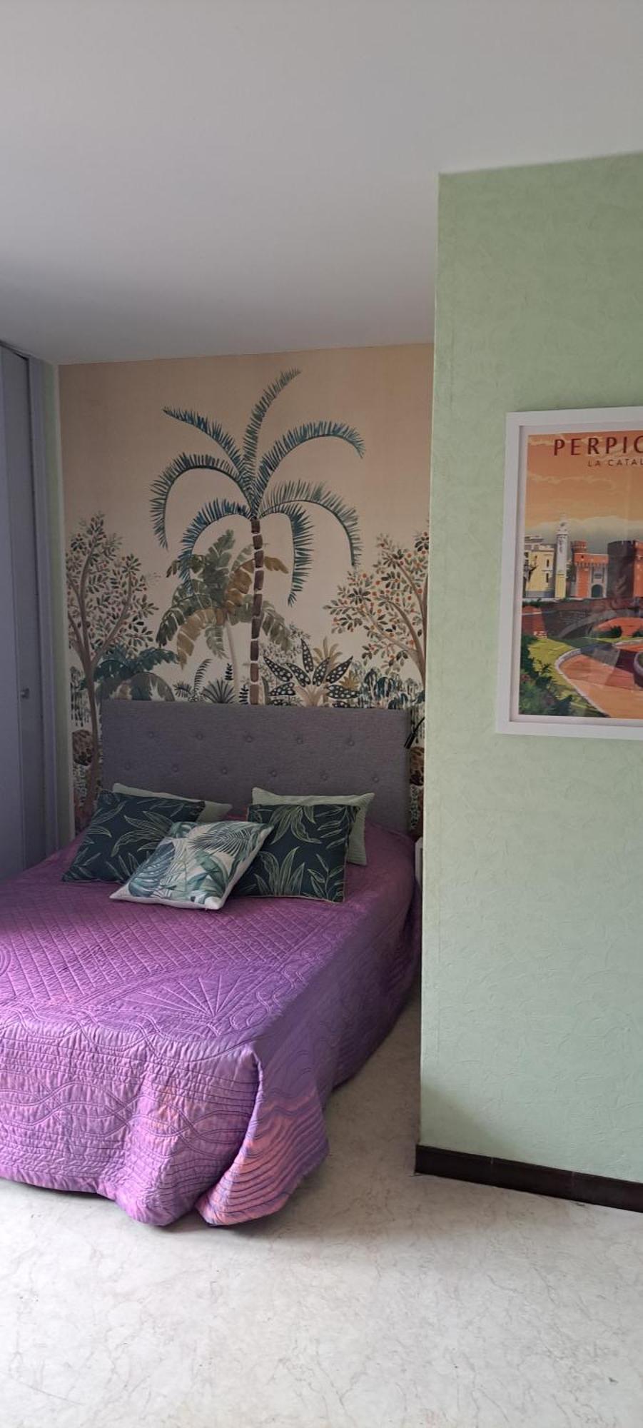 Studio Phannie Renove 50M Cures Amélie-les-Bains-Palalda Extérieur photo