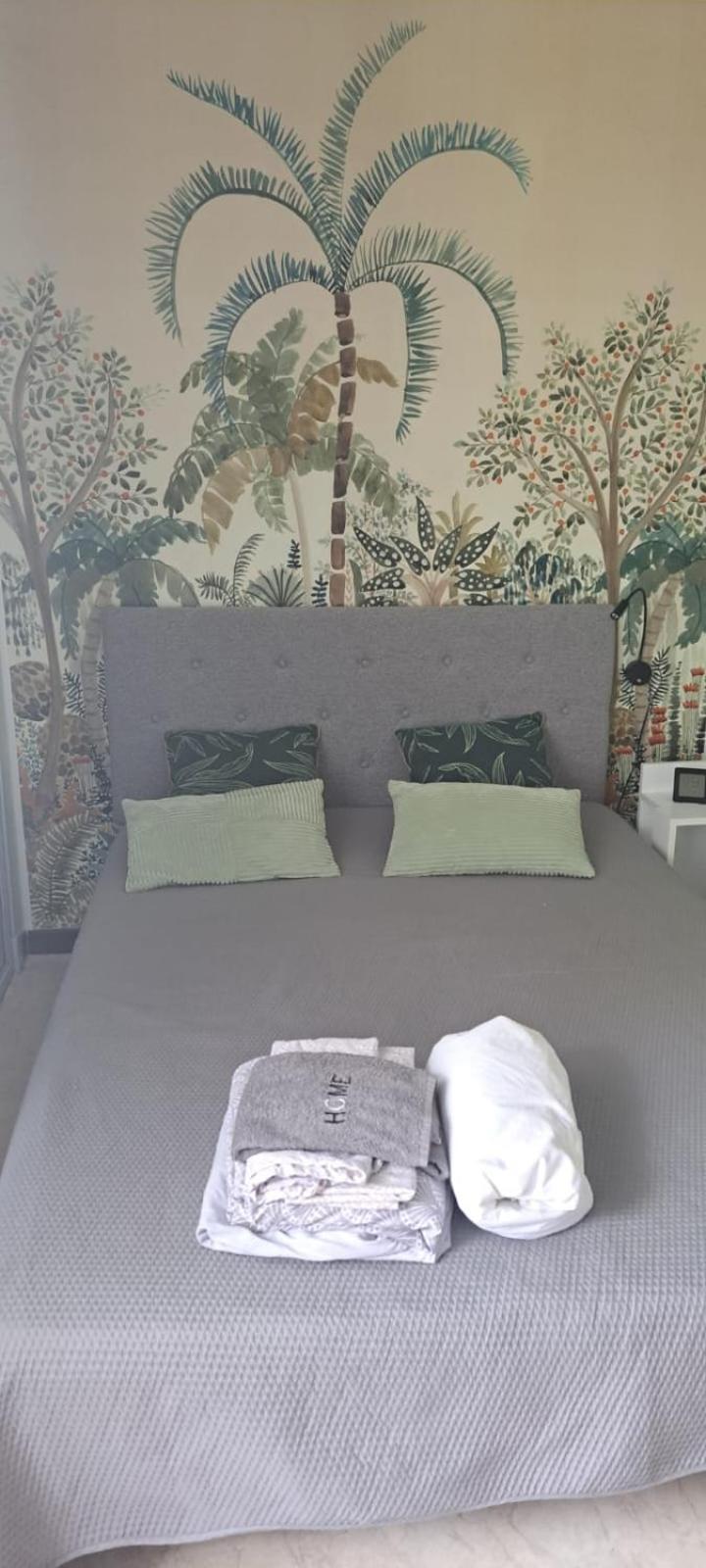 Studio Phannie Renove 50M Cures Amélie-les-Bains-Palalda Extérieur photo