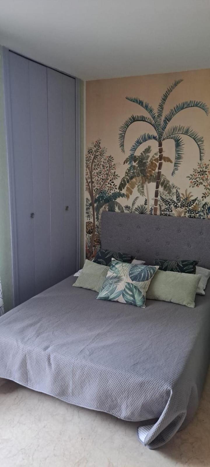 Studio Phannie Renove 50M Cures Amélie-les-Bains-Palalda Extérieur photo